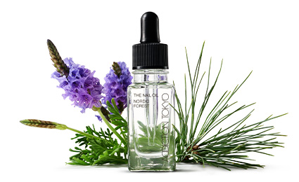 THE NAIL OIL NORDIC FOREST